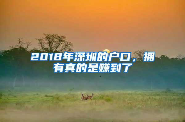 2018年深圳的户口，拥有真的是赚到了