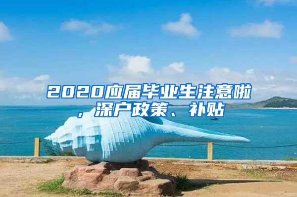 2020应届毕业生注意啦，深户政策、补贴