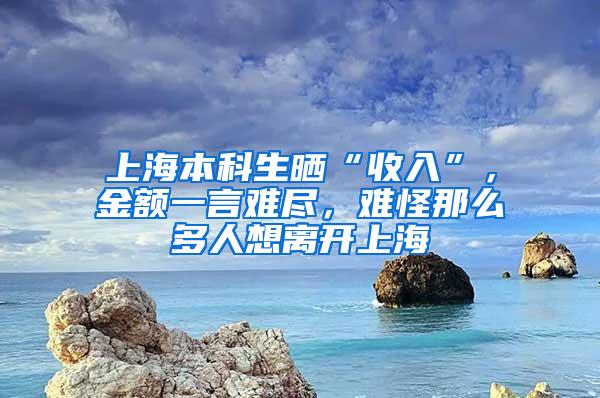 上海本科生晒“收入”，金额一言难尽，难怪那么多人想离开上海