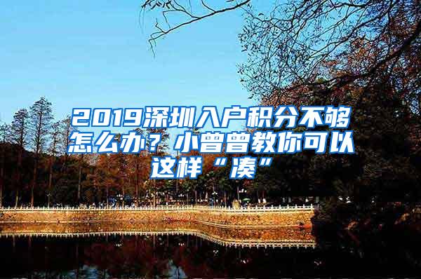 2019深圳入户积分不够怎么办？小曾曾教你可以这样“凑”