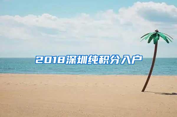 2018深圳纯积分入户