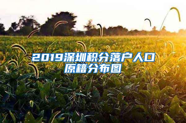 2019深圳积分落户人口原籍分布图