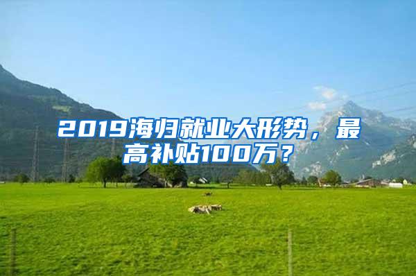 2019海归就业大形势，最高补贴100万？