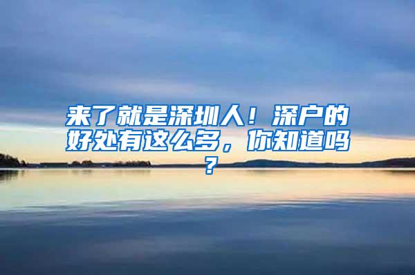 来了就是深圳人！深户的好处有这么多，你知道吗？