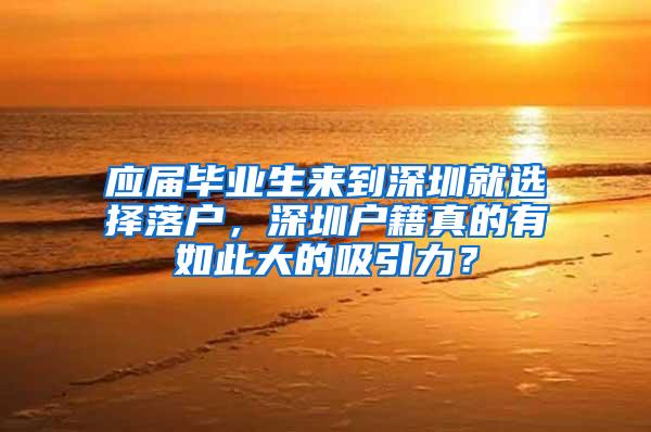 应届毕业生来到深圳就选择落户，深圳户籍真的有如此大的吸引力？