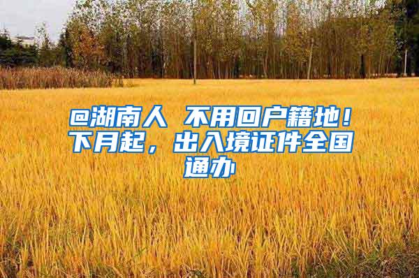 @湖南人 不用回户籍地！下月起，出入境证件全国通办