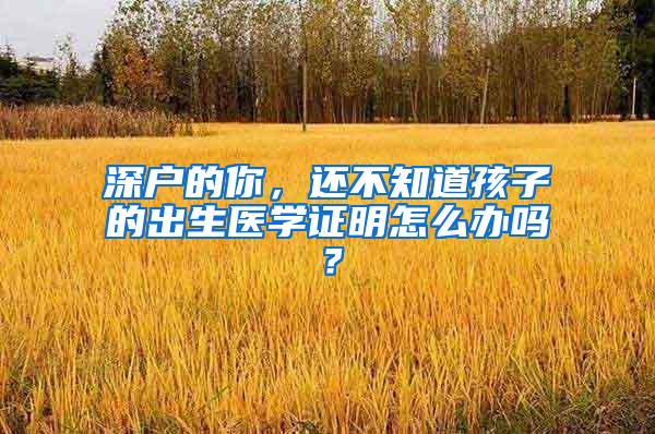 深户的你，还不知道孩子的出生医学证明怎么办吗？