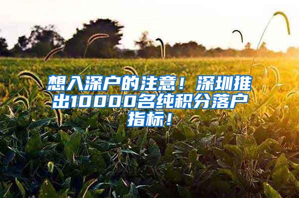 想入深户的注意！深圳推出10000名纯积分落户指标！