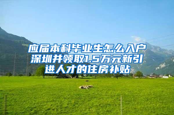 应届本科毕业生怎么入户深圳并领取1.5万元新引进人才的住房补贴