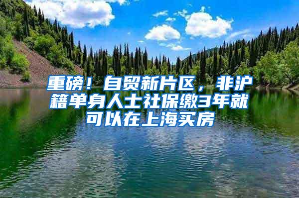 重磅！自贸新片区，非沪籍单身人士社保缴3年就可以在上海买房