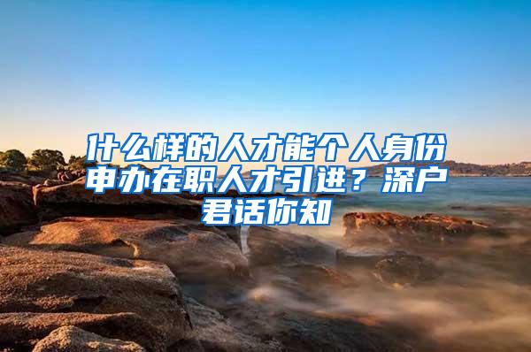 什么样的人才能个人身份申办在职人才引进？深户君话你知