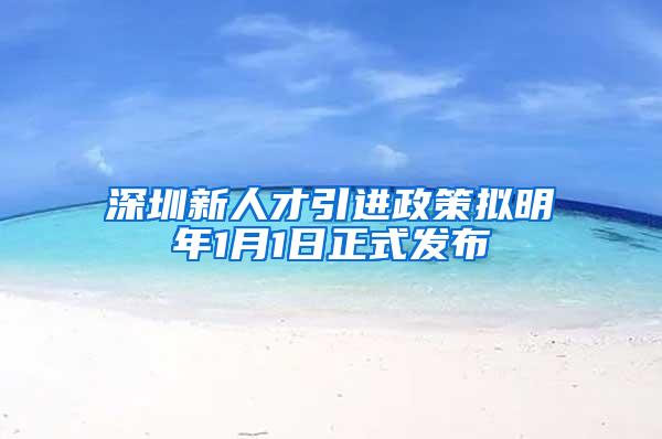 深圳新人才引进政策拟明年1月1日正式发布