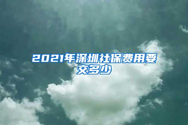 2021年深圳社保费用要交多少