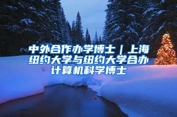 中外合作办学博士｜上海纽约大学与纽约大学合办计算机科学博士