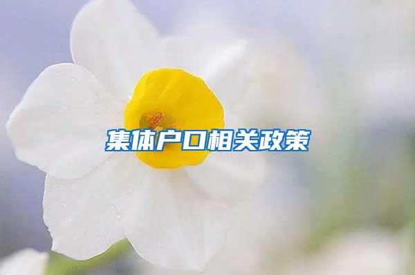 集体户口相关政策