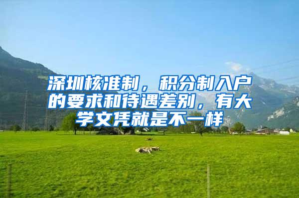 深圳核准制，积分制入户的要求和待遇差别，有大学文凭就是不一样