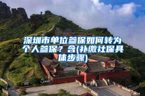 深圳市单位参保如何转为个人参保？含(补缴社保具体步骤)