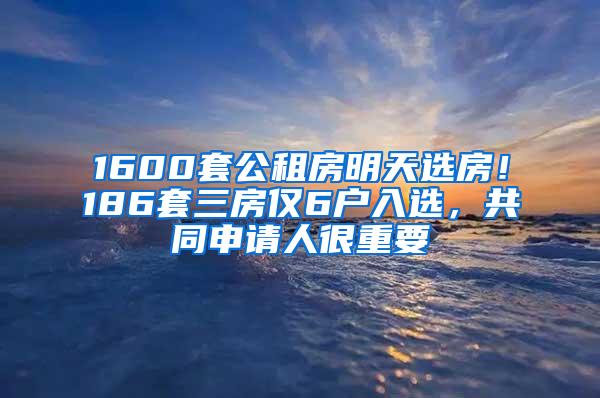 1600套公租房明天选房！186套三房仅6户入选，共同申请人很重要