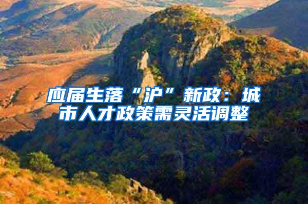 应届生落“沪”新政：城市人才政策需灵活调整