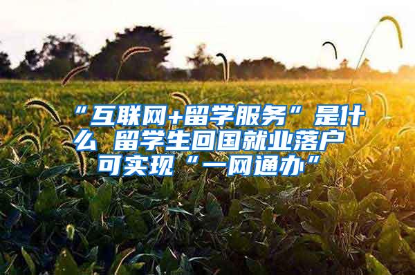 “互联网+留学服务”是什么 留学生回国就业落户可实现“一网通办”