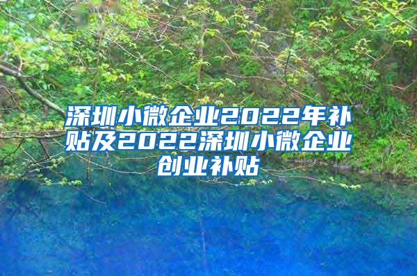 深圳小微企业2022年补贴及2022深圳小微企业创业补贴