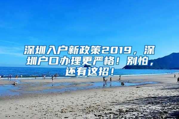 深圳入户新政策2019，深圳户口办理更严格！别怕，还有这招！