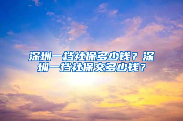 深圳一档社保多少钱？深圳一档社保交多少钱？