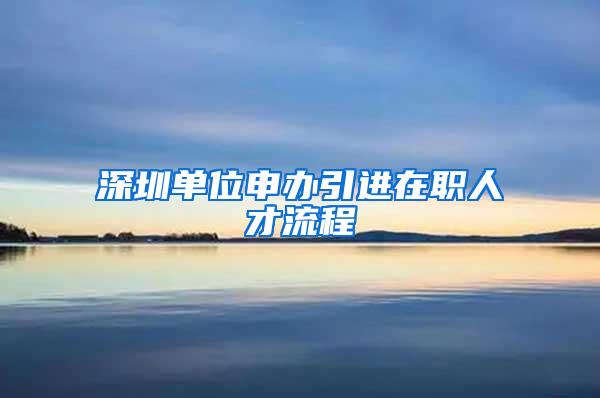 深圳单位申办引进在职人才流程