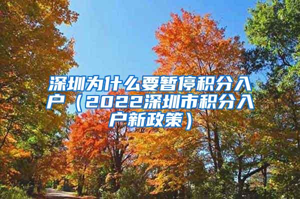 深圳为什么要暂停积分入户（2022深圳市积分入户新政策）