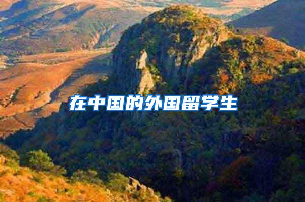 在中国的外国留学生