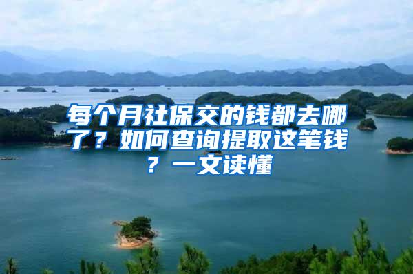 每个月社保交的钱都去哪了？如何查询提取这笔钱？一文读懂