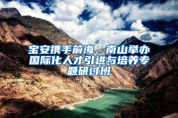 宝安携手前海、南山举办国际化人才引进与培养专题研讨班