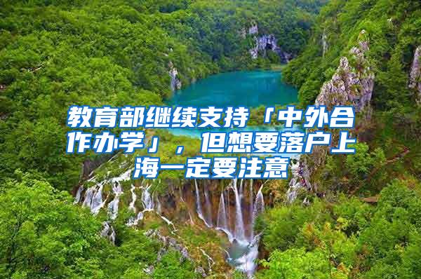 教育部继续支持「中外合作办学」，但想要落户上海一定要注意