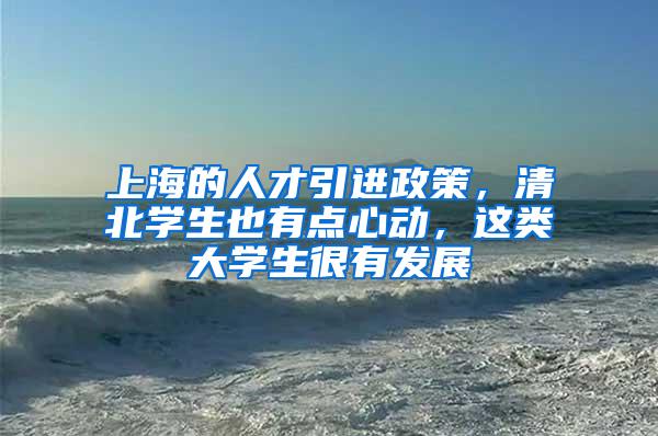 上海的人才引进政策，清北学生也有点心动，这类大学生很有发展