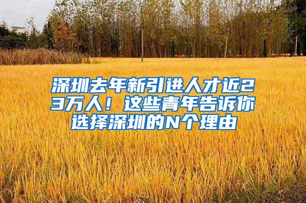 深圳去年新引进人才近23万人！这些青年告诉你选择深圳的N个理由