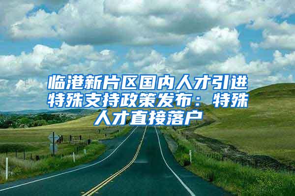 临港新片区国内人才引进特殊支持政策发布：特殊人才直接落户