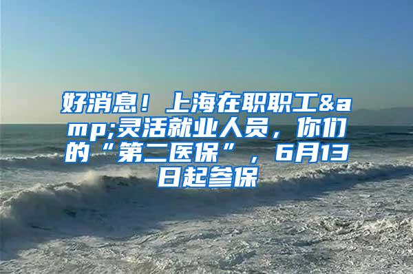 好消息！上海在职职工&灵活就业人员，你们的“第二医保”，6月13日起参保