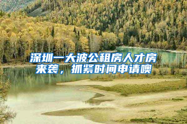 深圳一大波公租房人才房来袭，抓紧时间申请噢