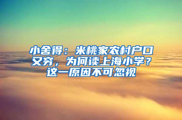 小舍得：米桃家农村户口又穷，为何读上海小学？这一原因不可忽视