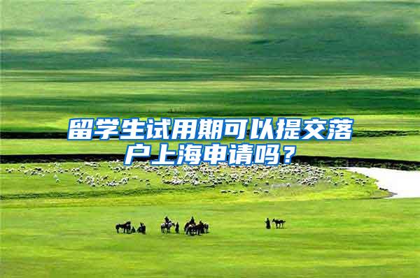 留学生试用期可以提交落户上海申请吗？