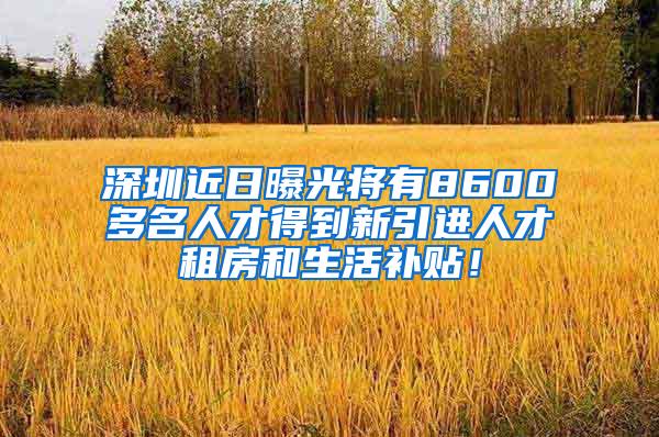 深圳近日曝光将有8600多名人才得到新引进人才租房和生活补贴！