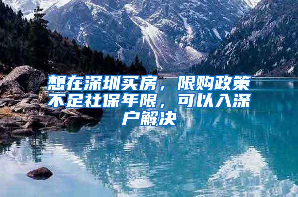 想在深圳买房，限购政策不足社保年限，可以入深户解决