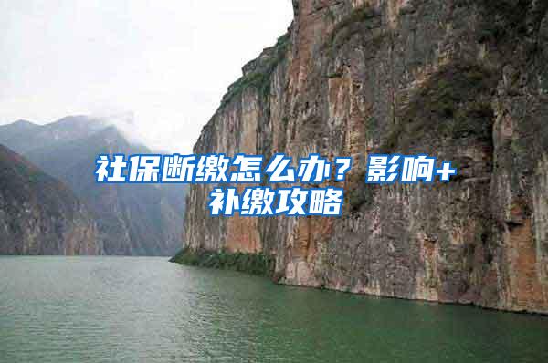 社保断缴怎么办？影响+补缴攻略