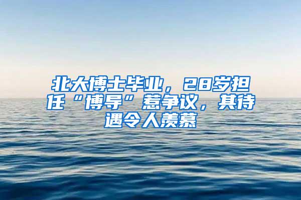 北大博士毕业，28岁担任“博导”惹争议，其待遇令人羡慕