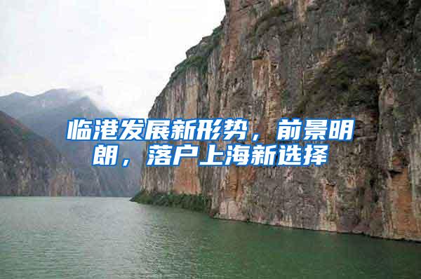 临港发展新形势，前景明朗，落户上海新选择