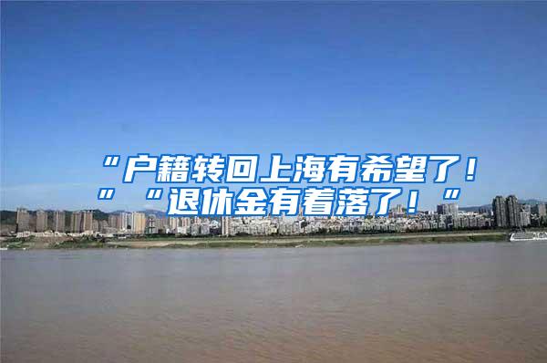 “户籍转回上海有希望了！”“退休金有着落了！”