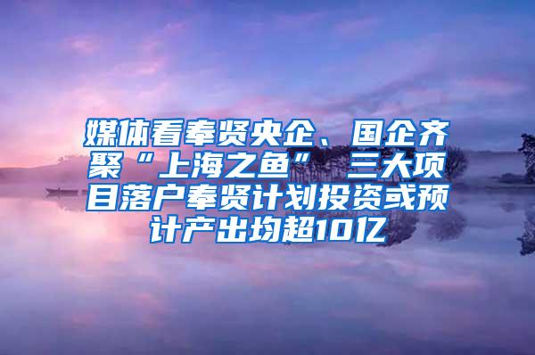 媒体看奉贤央企、国企齐聚“上海之鱼” 三大项目落户奉贤计划投资或预计产出均超10亿