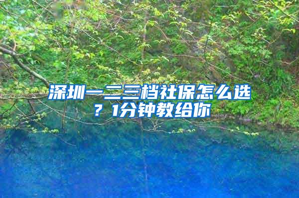 深圳一二三档社保怎么选？1分钟教给你