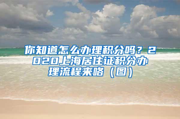 你知道怎么办理积分吗？2020上海居住证积分办理流程来咯（图）