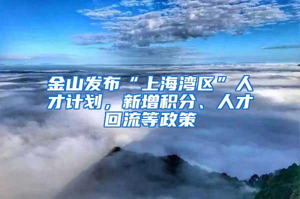 金山发布“上海湾区”人才计划，新增积分、人才回流等政策